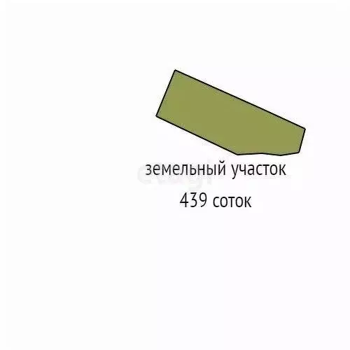 Участок в Брянская область, Брянский район, Чернетовское с/пос, с. ... - Фото 2
