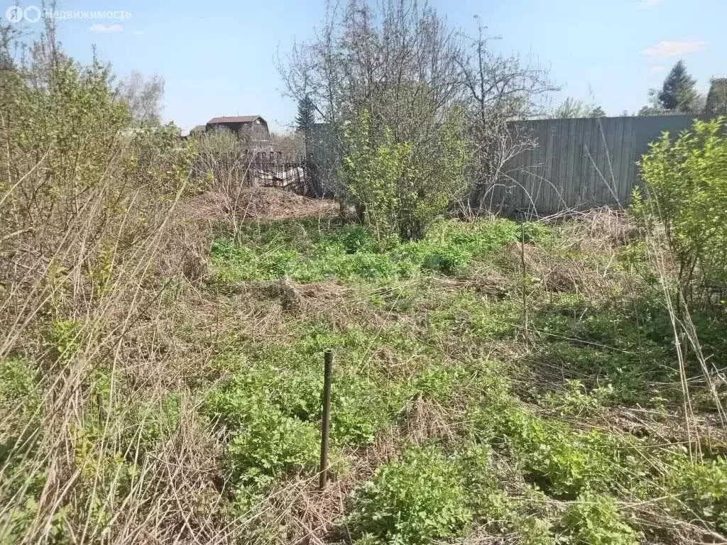 Участок в Омск, садоводческое некоммерческое товарищество Любитель (6 ... - Фото 2