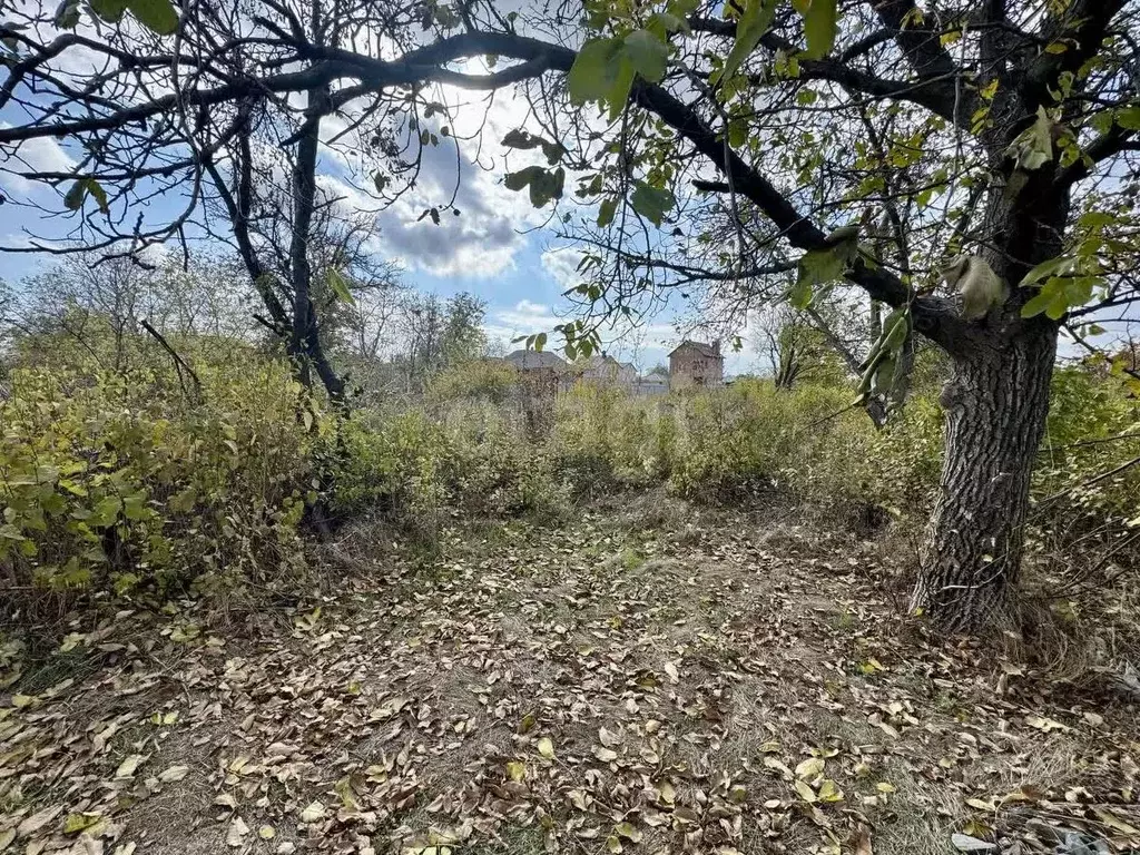 Участок в Ростовская область, Новочеркасск Барбарисовая ул. (6.0 сот.) - Фото 2