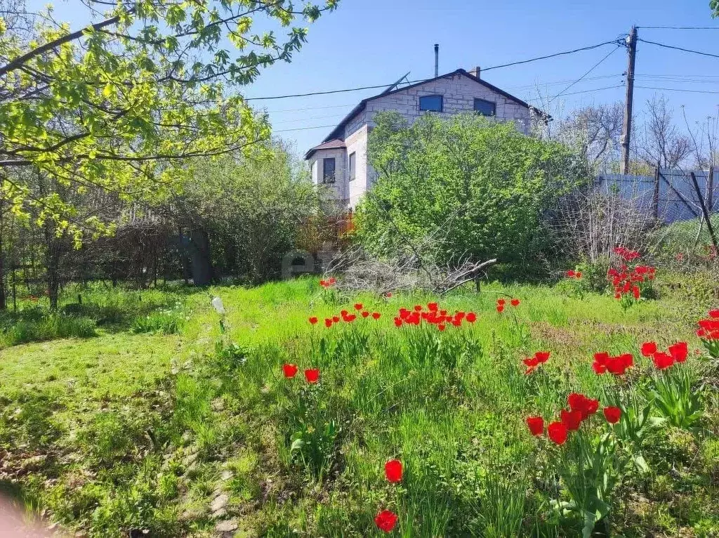 Участок в Ростовская область, Ростов-на-Дону Садовод-Любитель садовое ... - Фото 0
