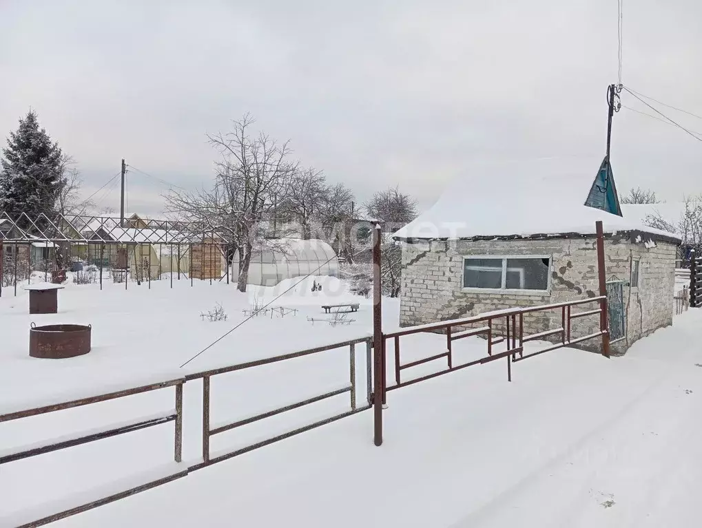 Участок в Нижегородская область, Бор ул. Тургенева (4.2 сот.) - Фото 1