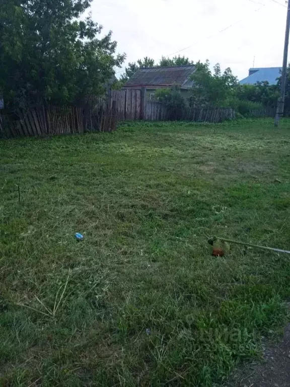 Участок в Омская область, Азовский район, Сосновское с/пос, с. ... - Фото 1