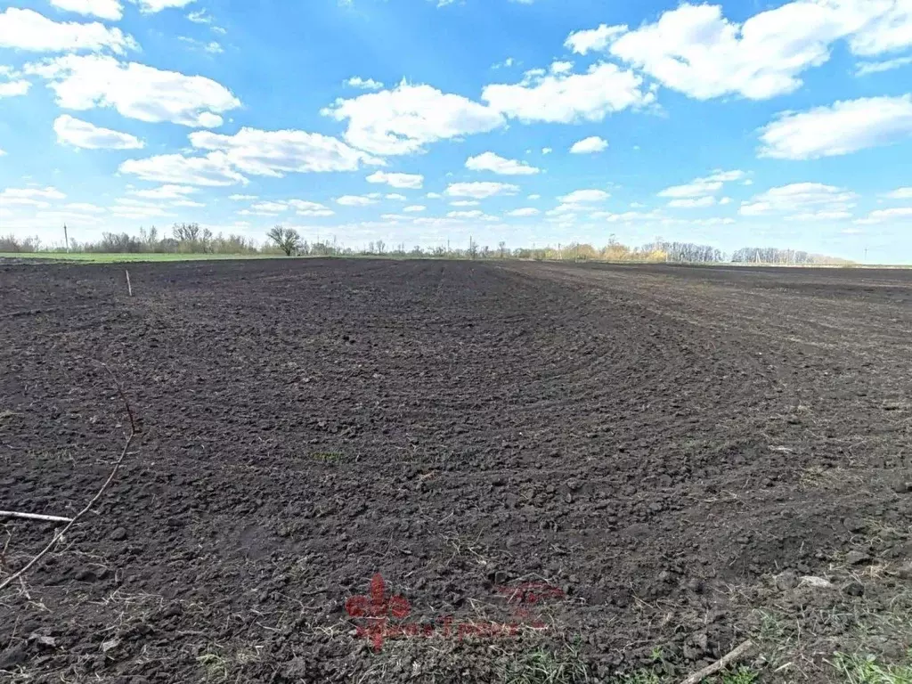 Участок в Белгородская область, Корочанский район, Яблоновское с/пос, ... - Фото 1