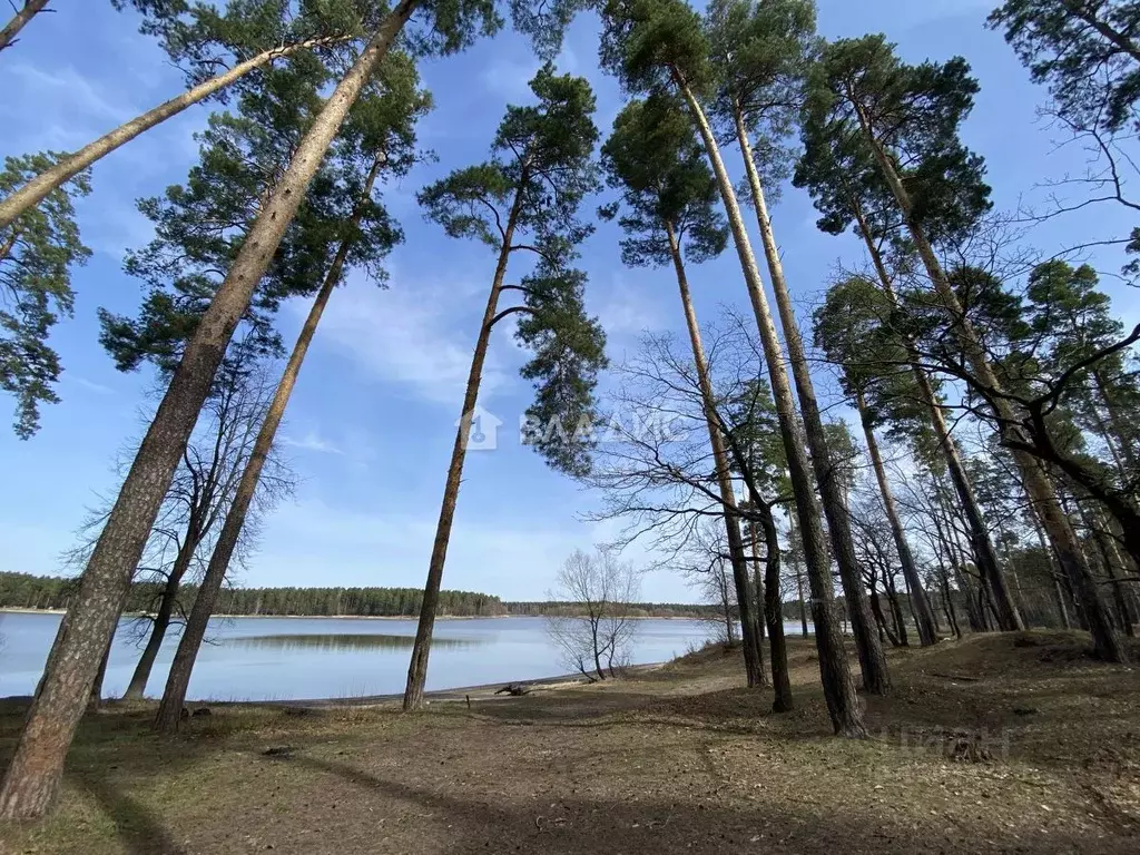 Участок в Пензенская область, Бессоновский район, пос. Подлесный ... - Фото 0