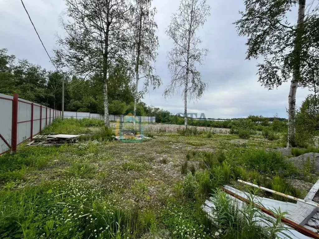 Участок в Ленинградская область, Приозерский район, Ларионовское ... - Фото 1