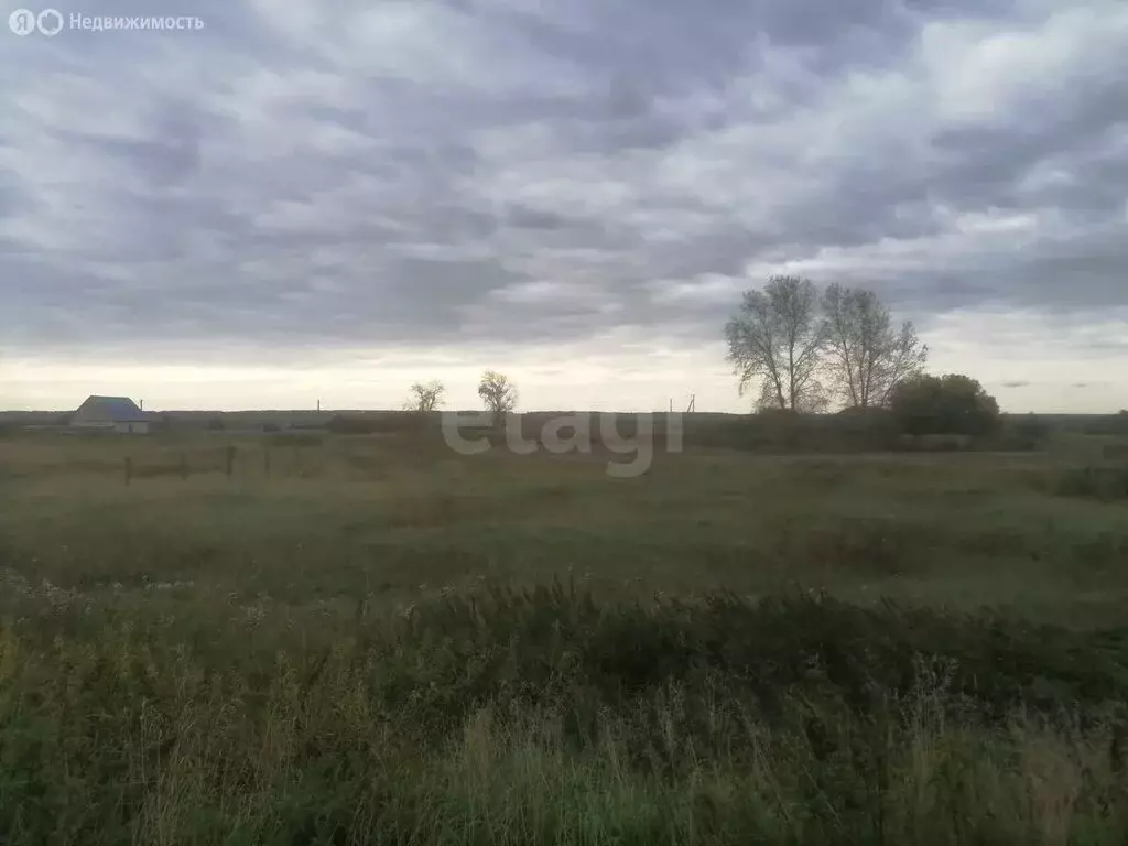 участок в исетский район, деревня пастухова, центральная улица (27.16 . - Фото 1