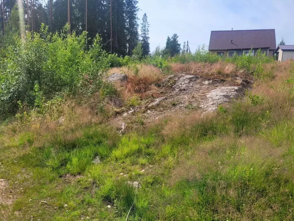 Участок в Ленинградская область, Выборг ул. Имени В.Ф. Одоевского ... - Фото 0