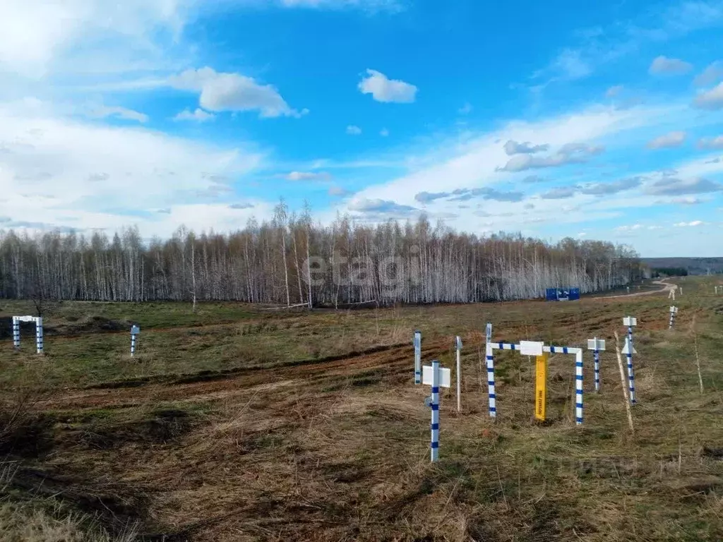 Участок в Нижегородская область, Дальнеконстантиновский муниципальный ... - Фото 0