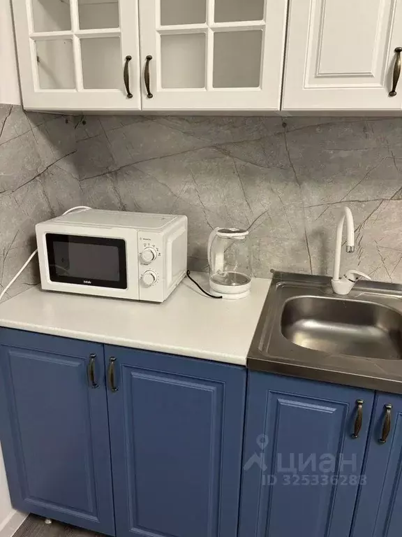 Студия Санкт-Петербург ул. Струве, 12к1 (26.0 м) - Фото 2