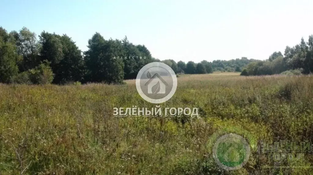 Участок в Калининградская область, Зеленоградский муниципальный округ, ... - Фото 0