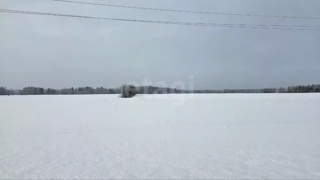 Участок в Ленинградская область, Киришский район, Будогощское ... - Фото 2