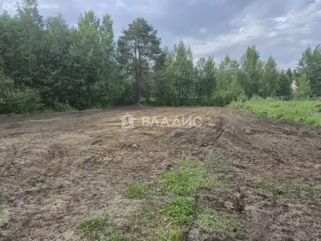 Участок в Рахьинское городское поселение, садоводческий массив Рахья, ... - Фото 2