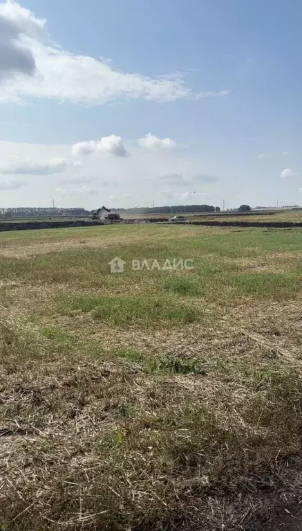 Участок в Башкортостан, Стерлитамакский район, Отрадовский сельсовет, ... - Фото 1
