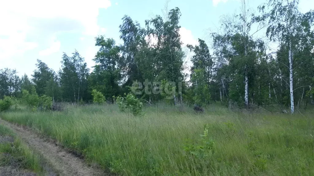 Участок в село Новая Усмань, микрорайон Пчёлка (20 м) - Фото 0
