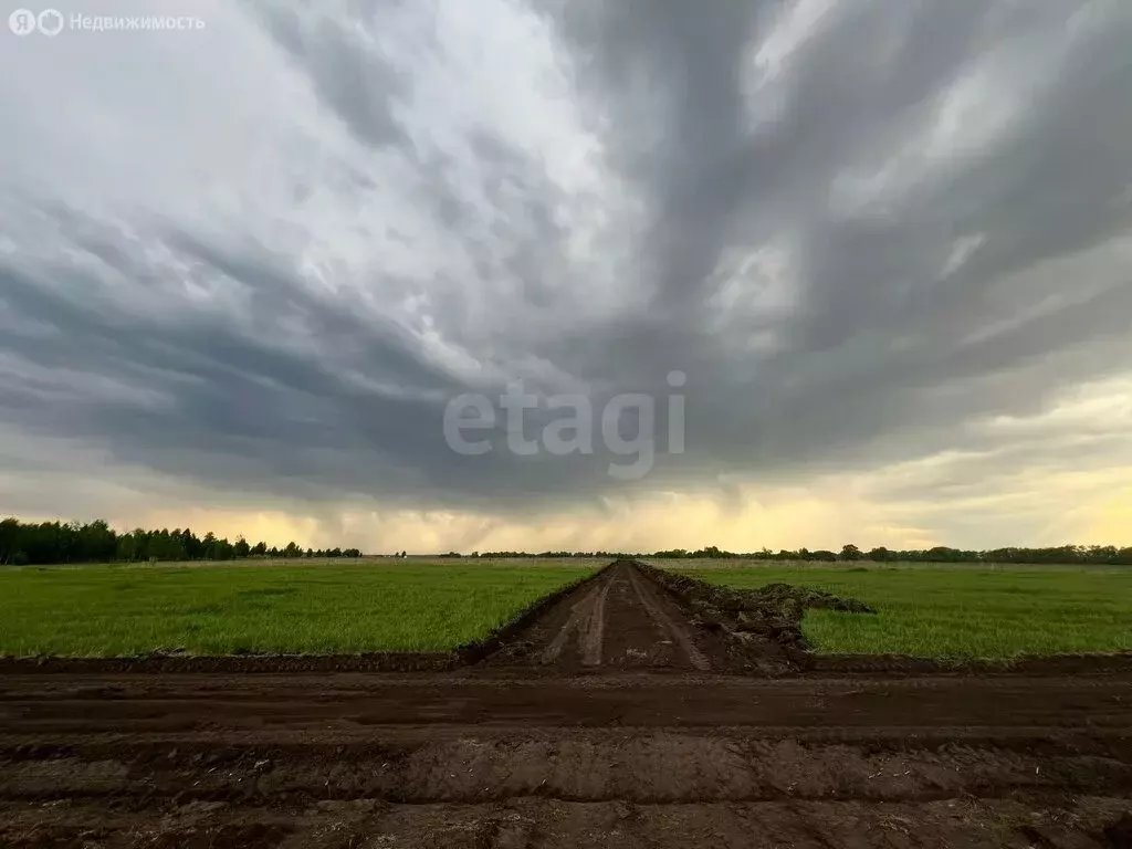Участок в Колыванский район, деревня Малый Оеш (8 м) - Фото 1