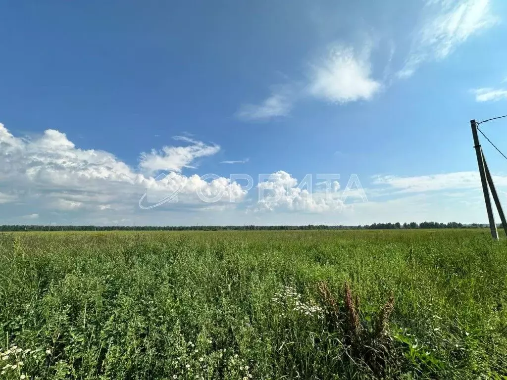 Участок в Тюменская область, Тюменский район, д. Марай  (7.5 сот.) - Фото 1