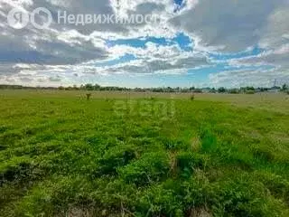 Участок в Калининградская область, Гурьевский муниципальный округ, ... - Фото 1