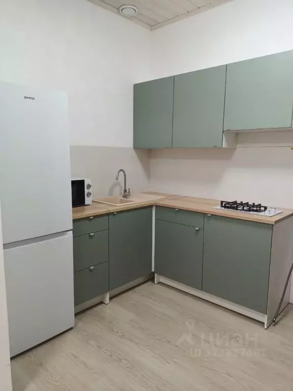 Студия Московская область, Домодедово городской округ, с. Ям ул. ... - Фото 2