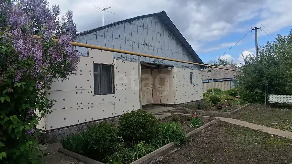 Дом в Белгородская область, Губкинский городской округ, с. Долгое ул. ... - Фото 1