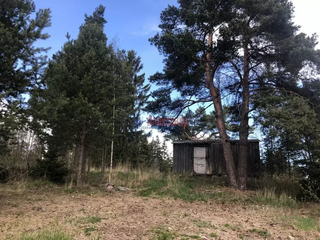 Участок в Ленинградская область, Приозерское городское поселение, пос. ... - Фото 0