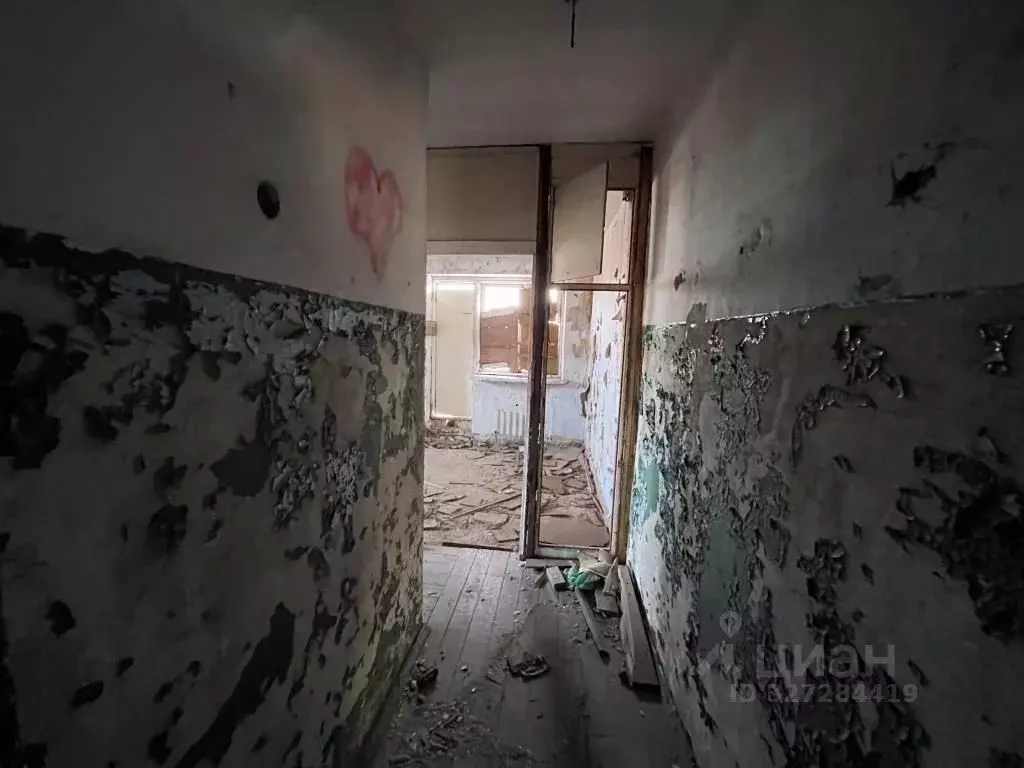 Помещение свободного назначения в Приморский край, Ольгинский ... - Фото 1