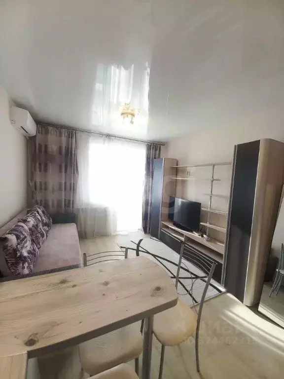 Студия Амурская область, Благовещенский район, с. Чигири 1-я Тепличная ... - Фото 2