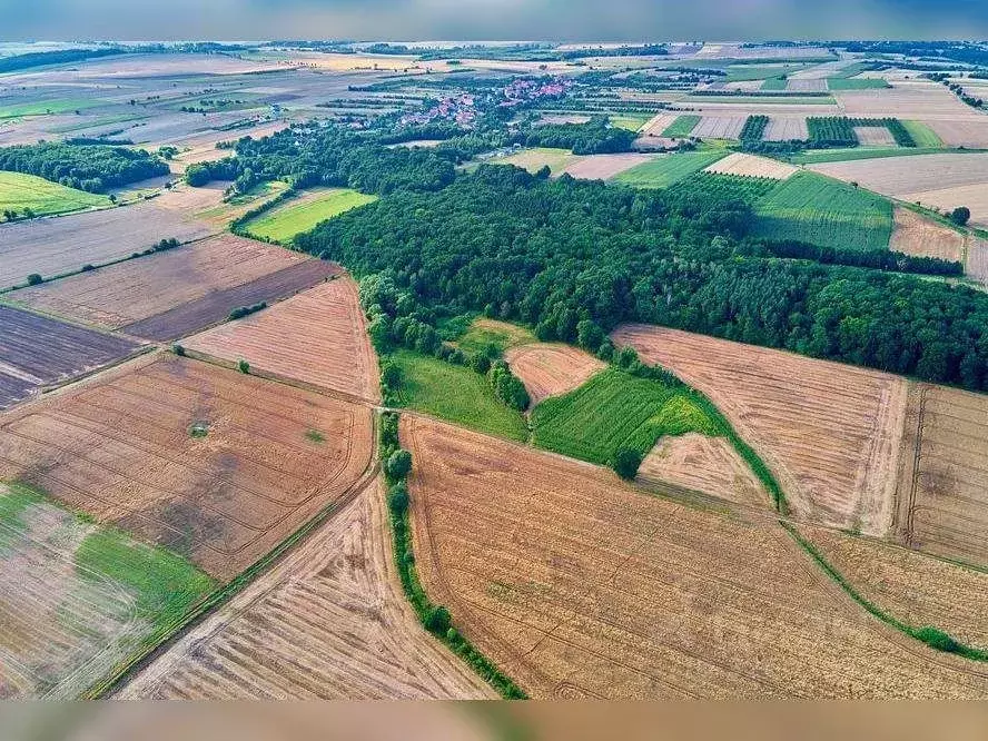Участок в Нижегородская область, Лысковский район, д. Ушаковка Зеленая ... - Фото 1