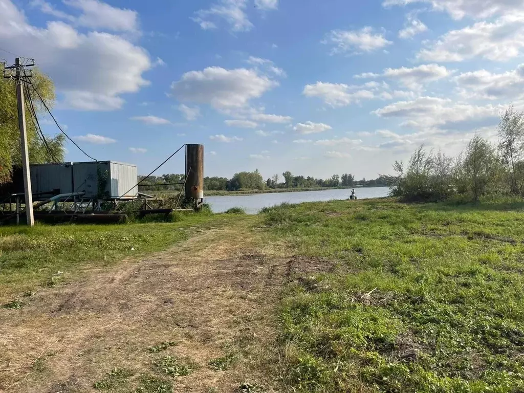 Участок в Саратовская область, Энгельсский район, Красноярское ... - Фото 0