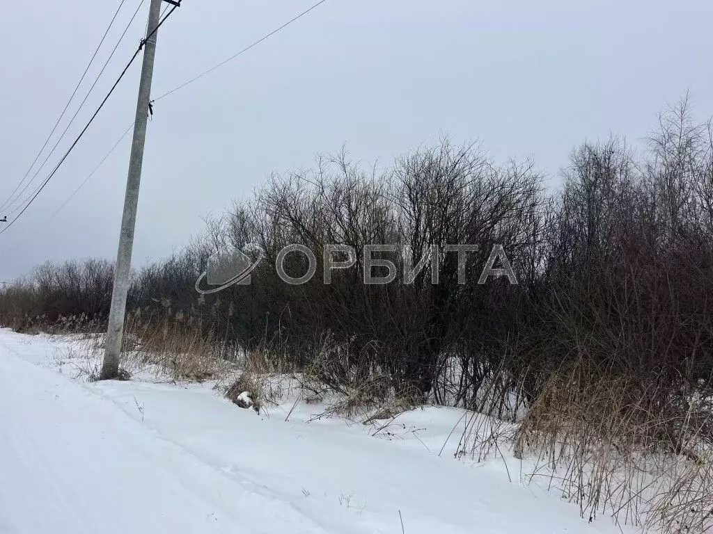 Участок в Тюменская область, Тюмень Поле Чудес садовое товарищество, ... - Фото 1