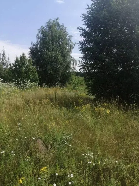 Участок в Липецкая область, Елец ул. Ясная, 4 (9.47 сот.) - Фото 1