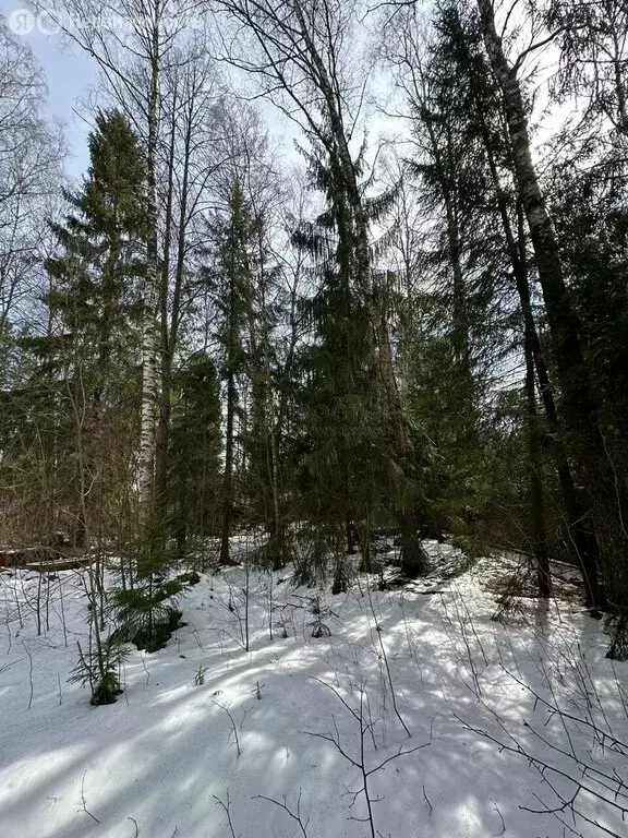 Участок в Зеленоградский, Озёрная улица (52 м) - Фото 1