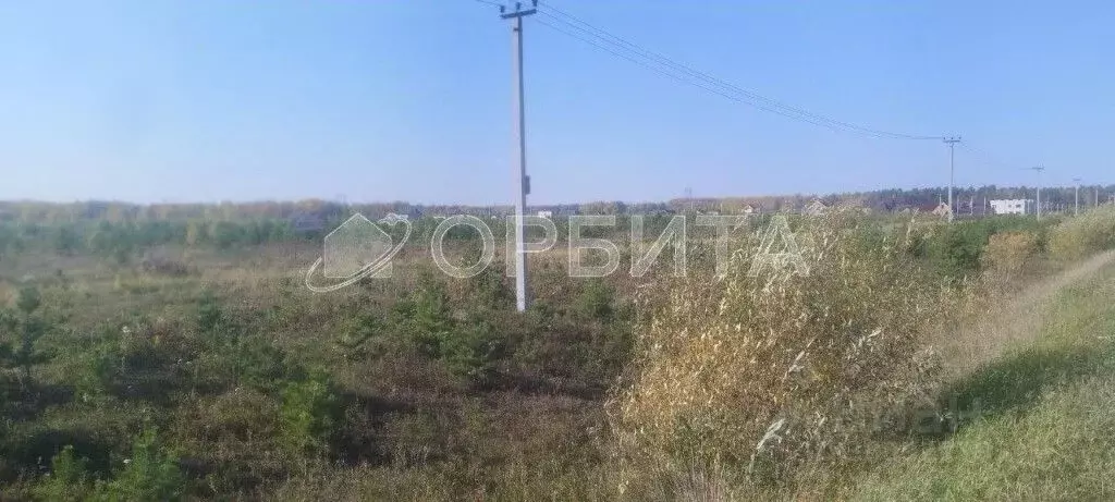 Участок в Тюменская область, Тюменский район, Лесник-2 СНТ  (9.5 сот.) - Фото 1