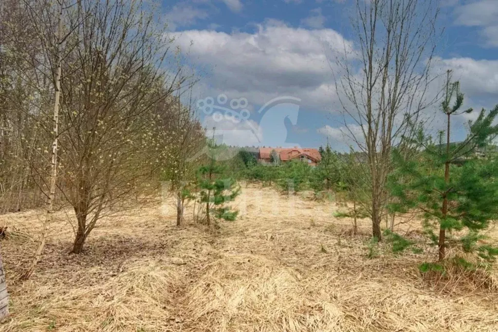 Участок в Московская область, Одинцовский городской округ, Мэдисон ... - Фото 2