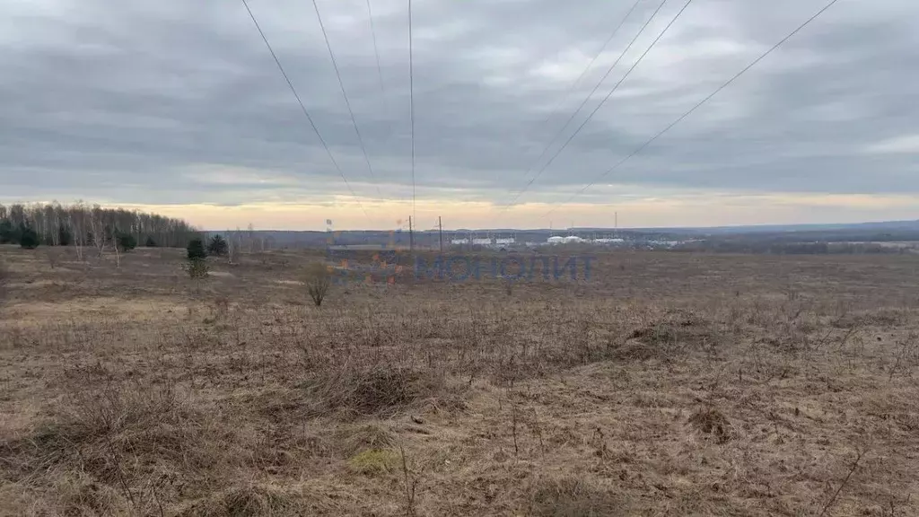 Участок в Нижегородская область, Кстовский муниципальный округ, д. ... - Фото 1