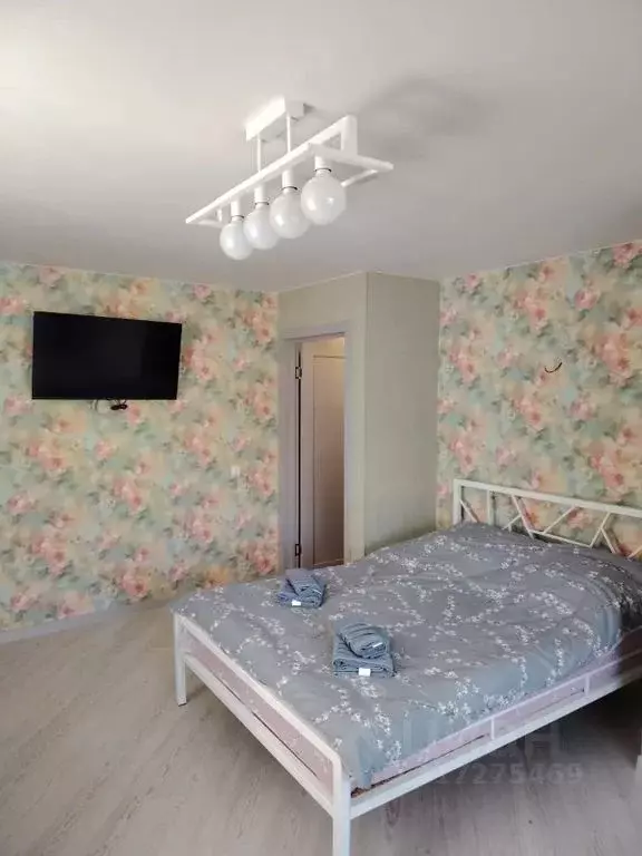 1-к кв. Тверская область, Ржев ул. Челюскинцев, 19 (33.0 м) - Фото 1