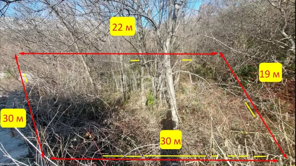 Участок в Крым, Ялта муниципальный округ, с. Оползневое  (6.0 сот.) - Фото 1