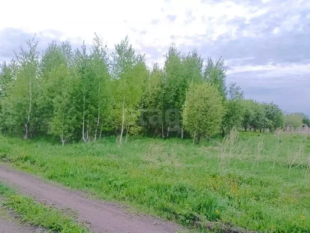 Участок в Томская область, Томский район, д. Губино  (15.0 сот.) - Фото 2