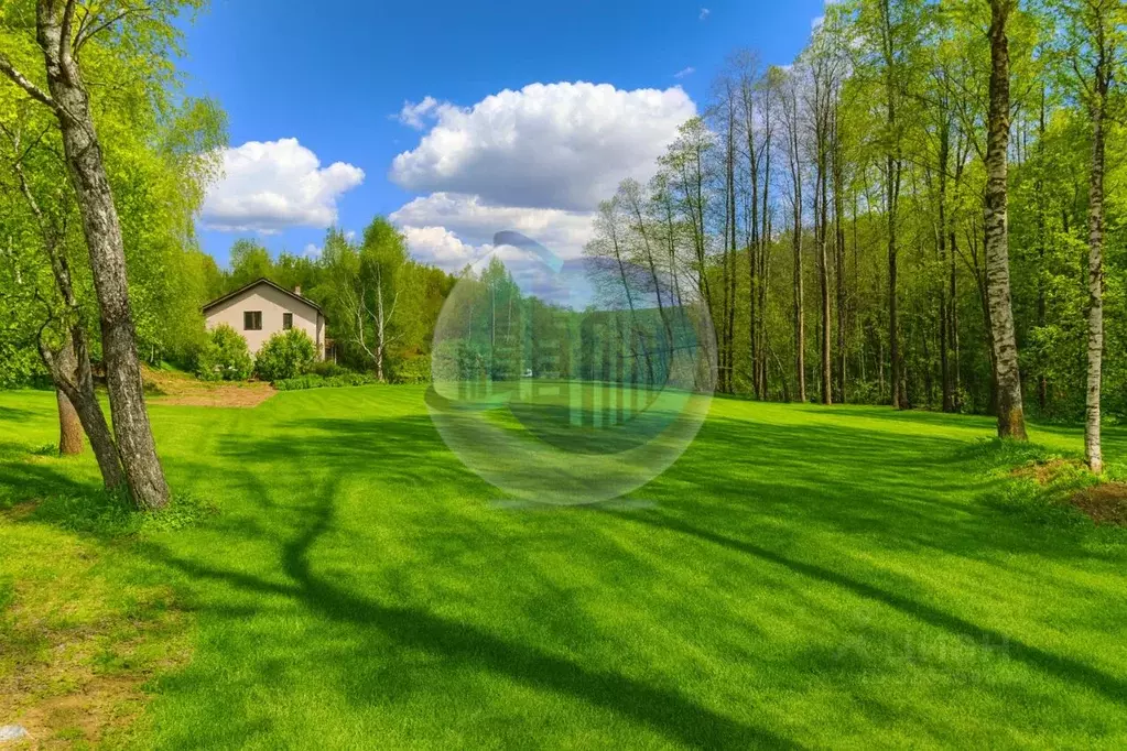 Участок в Московская область, Ленинский городской округ, д. Спасские ... - Фото 2