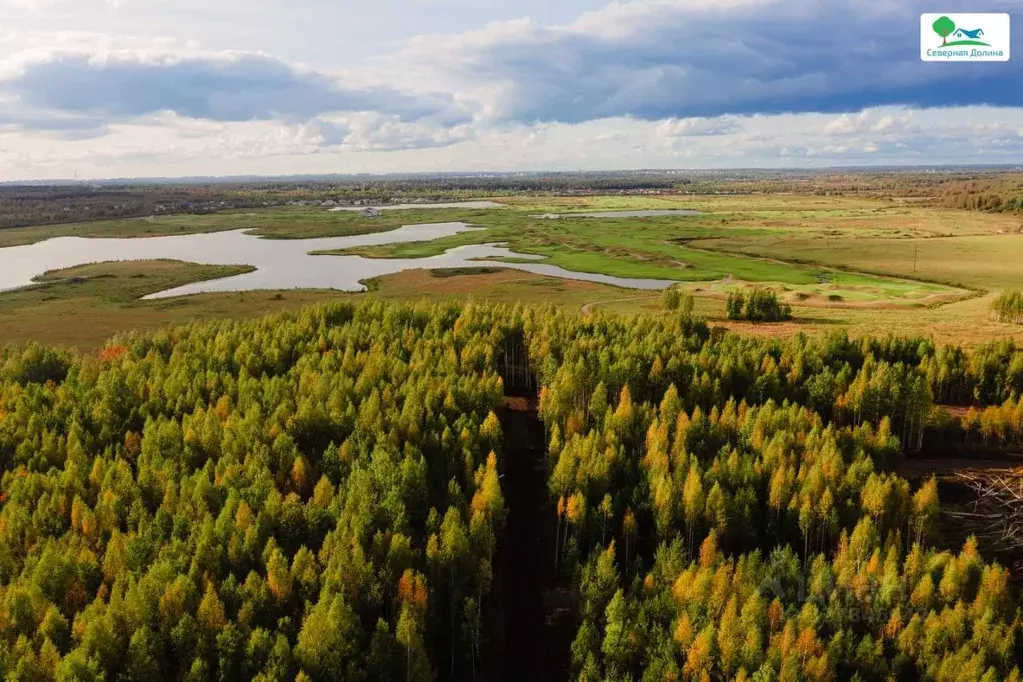 Участок в Ленинградская область, Всеволожское городское поселение, ... - Фото 1