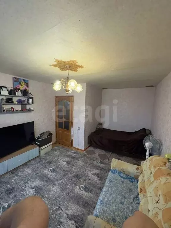 1-к кв. Белгородская область, Борисовка городское поселение, Борисовка ... - Фото 1