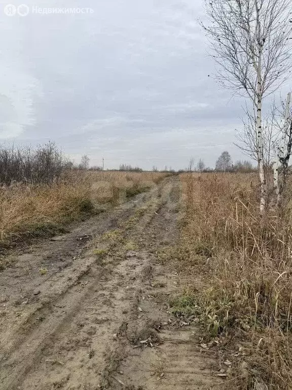 Участок в Тюменская область, Тобольский муниципальный округ, ... - Фото 2