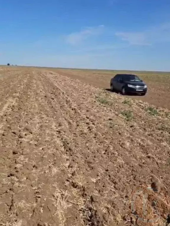 Участок в Крым, Первомайский район, с. Калинино ул. Школьная (532.0 ... - Фото 1