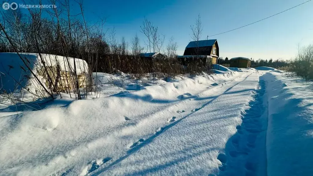 Участок в Тюменская область, Нижнетавдинский муниципальный округ, СНТ ... - Фото 2