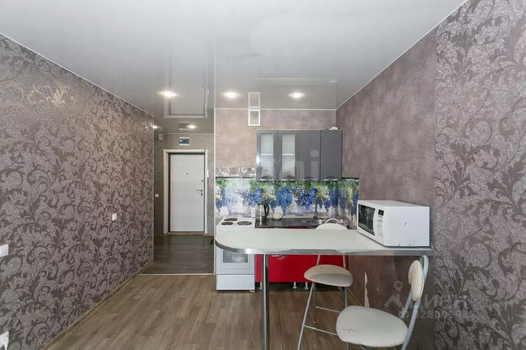 Студия Новосибирская область, Новосибирск ул. Забалуева, 88 (30.0 м) - Фото 1
