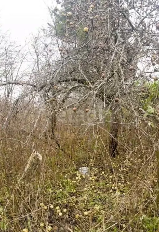 Дом в Калужская область, Ферзиковский район, Сугоново с/пос, пос. ... - Фото 2