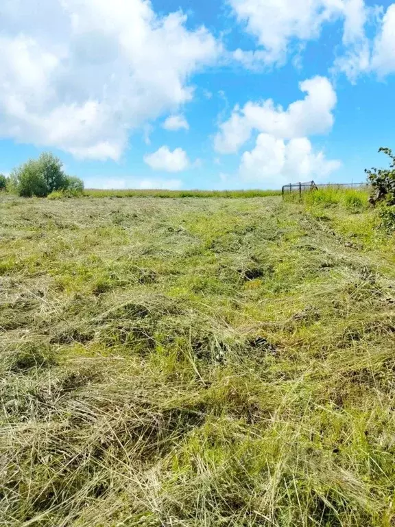 Участок в Московская область, Дмитровский муниципальный округ, с. ... - Фото 1