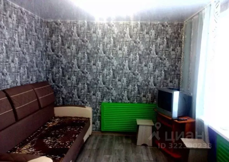 1-к кв. Иркутская область, Усть-Илимск ул. Энтузиастов, 15 (17.0 м) - Фото 1