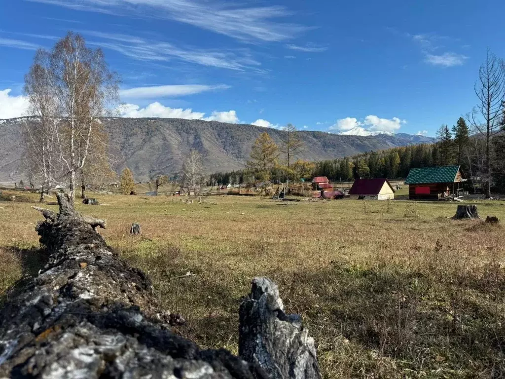 Участок в Алтай, Усть-Коксинский район, пос. Кучерла ул. Ленина (60.0 ... - Фото 1