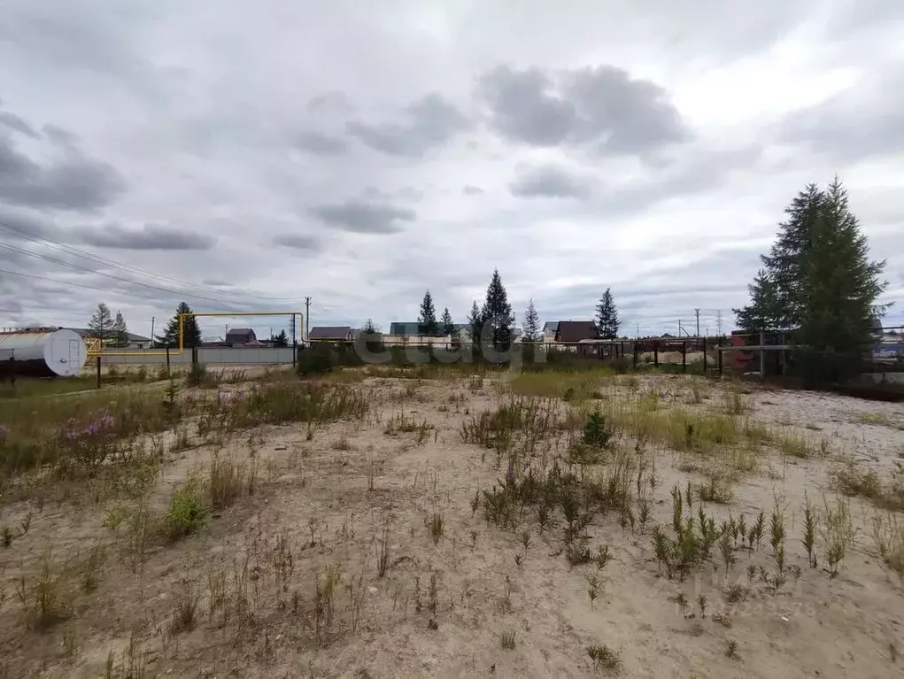 Участок в Ямало-Ненецкий АО, Новый Уренгой Северный Берег ДНТ, ул. 4-я ... - Фото 1