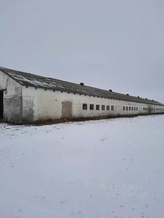 Производственное помещение в Краснодарский край, Староминский район, ... - Фото 1